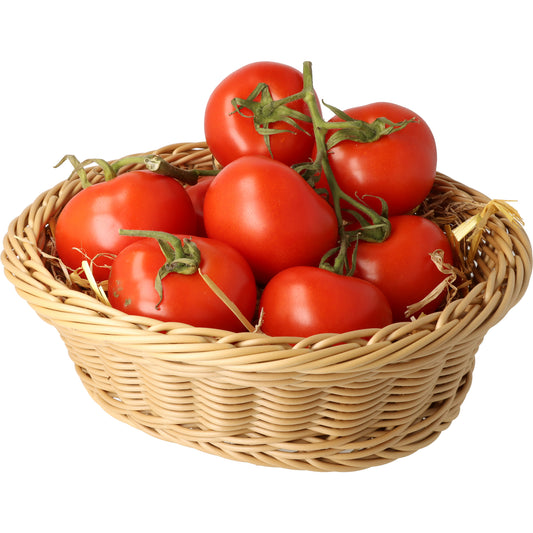 Bio Strauch Tomaten